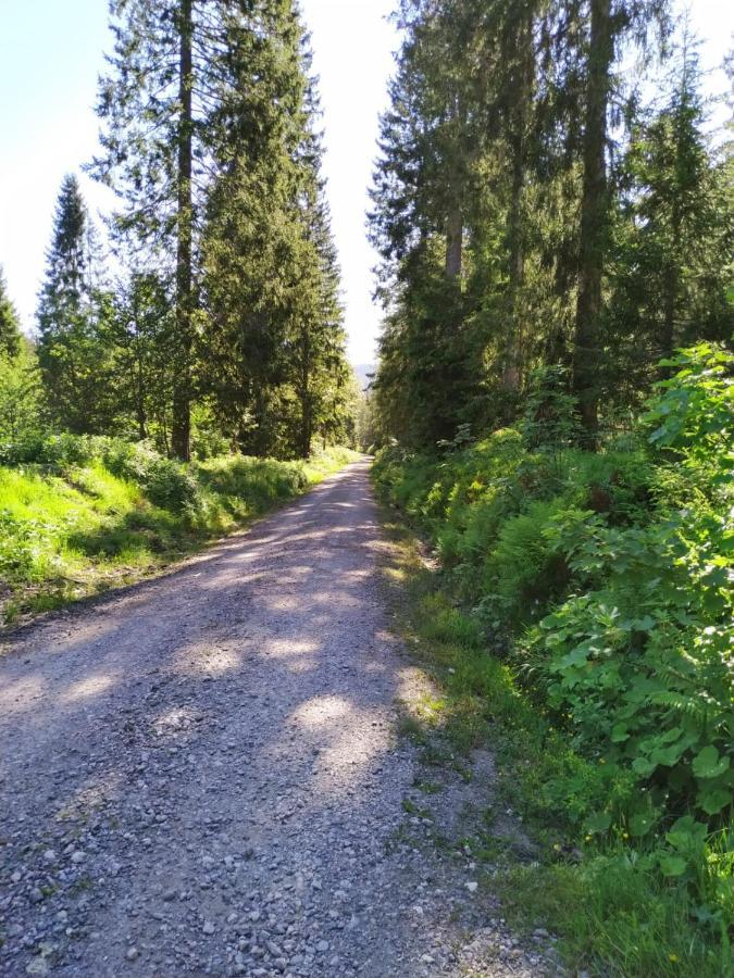 Ferienwohnung Feldberg - Residenz Grafenmatt Ngoại thất bức ảnh