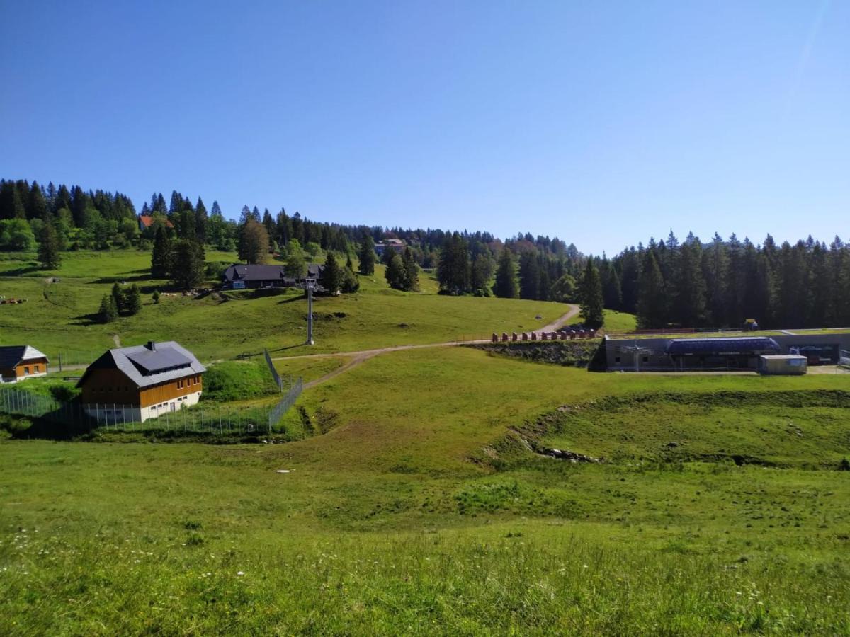 Ferienwohnung Feldberg - Residenz Grafenmatt Ngoại thất bức ảnh