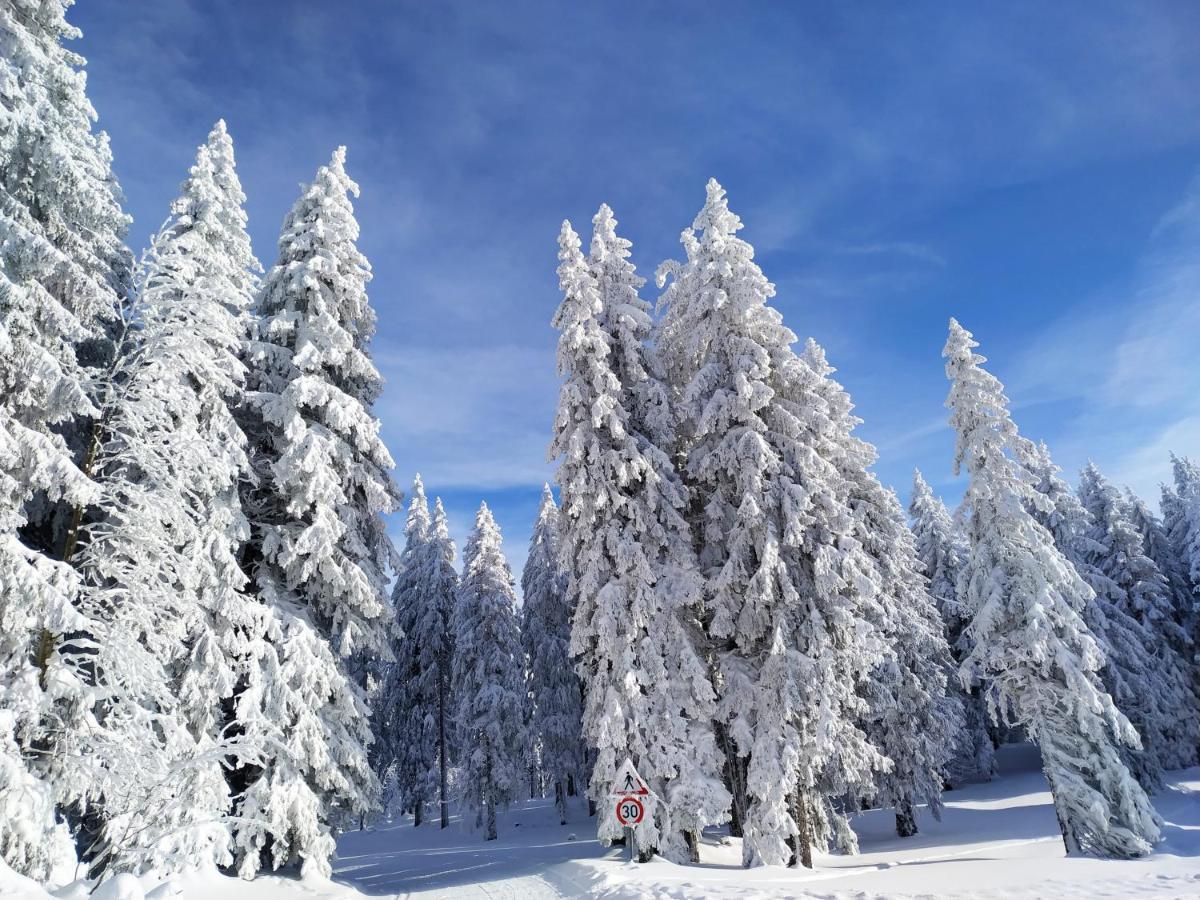 Ferienwohnung Feldberg - Residenz Grafenmatt Ngoại thất bức ảnh