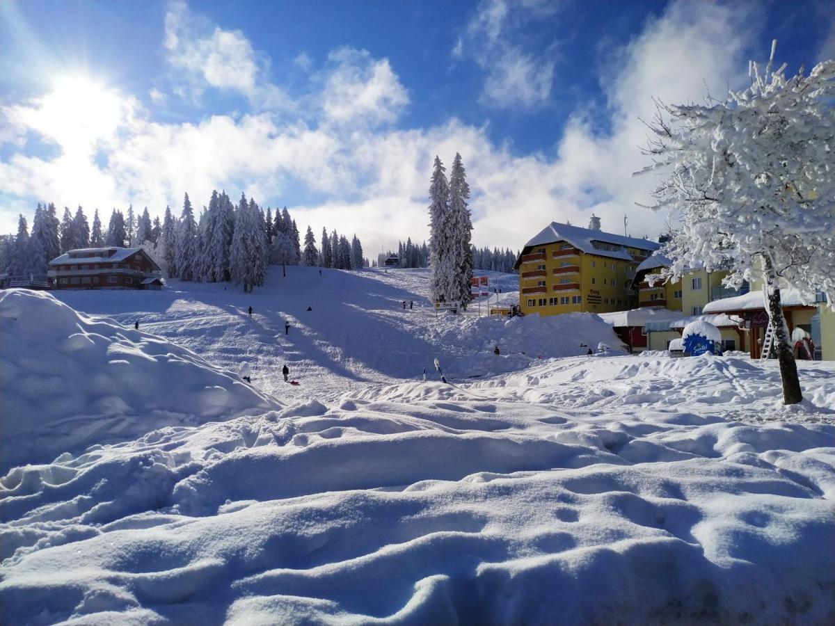 Ferienwohnung Feldberg - Residenz Grafenmatt Ngoại thất bức ảnh
